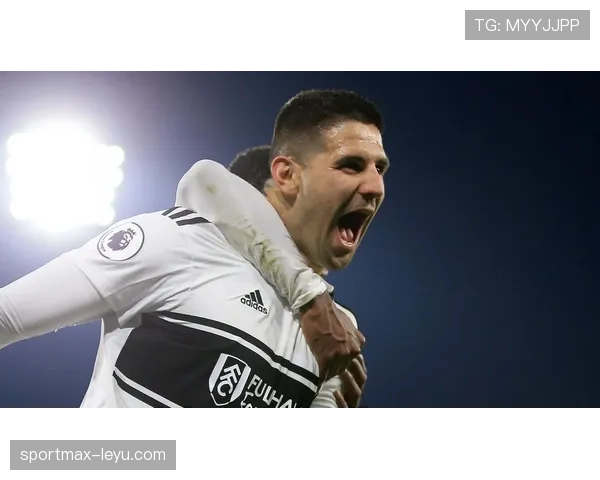 富勒姆球迷抗议俱乐部管理不善，球队状态引担忧